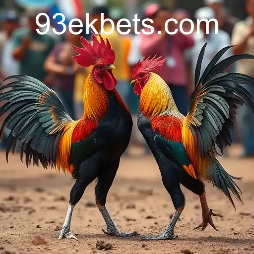 Rinha de galos